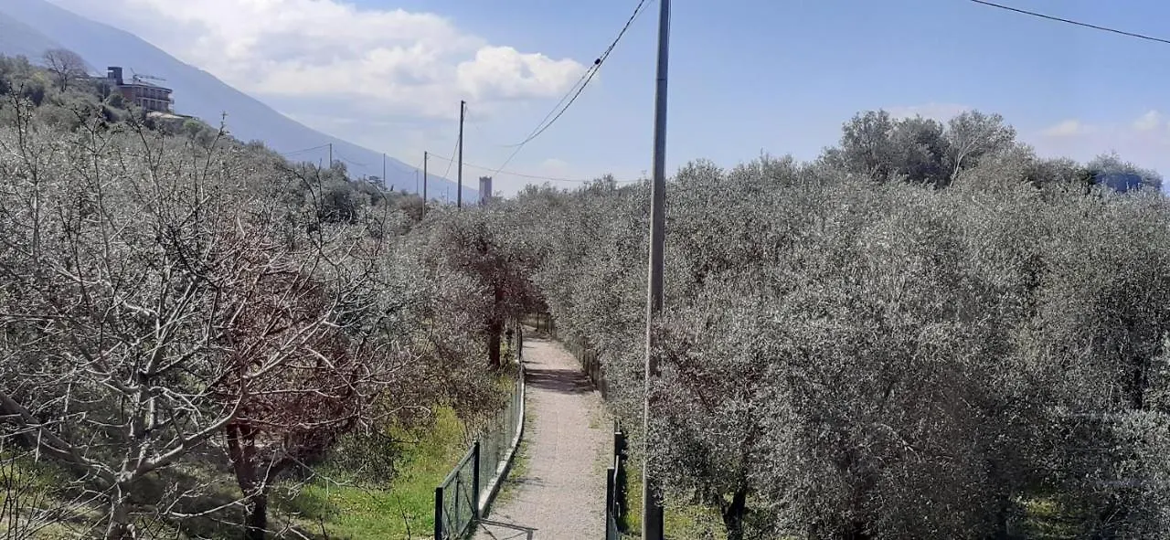 Lejlighed Appartamento Leccino Malcesine