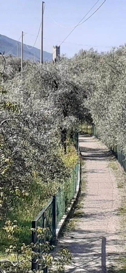 Appartamento Leccino Malcesine