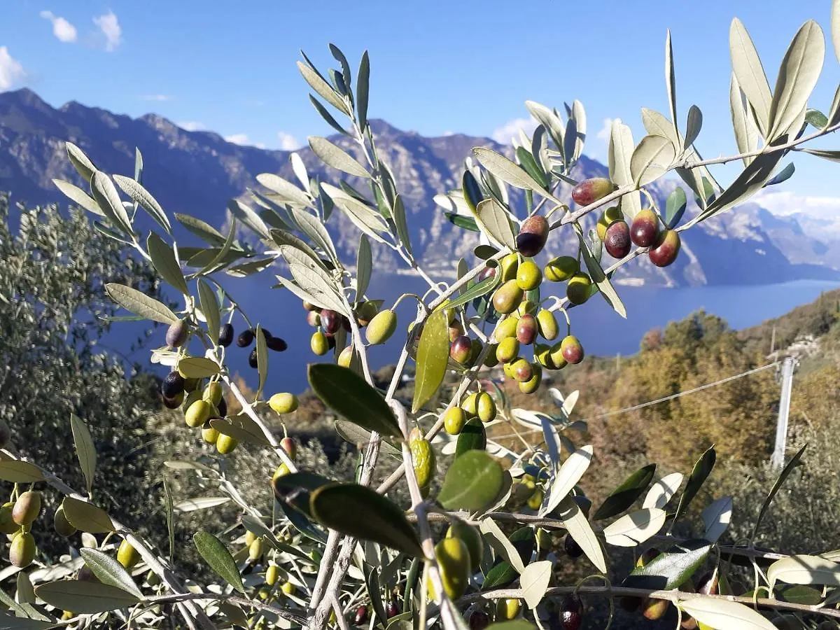 Appartamento Leccino Malcesine Italien
